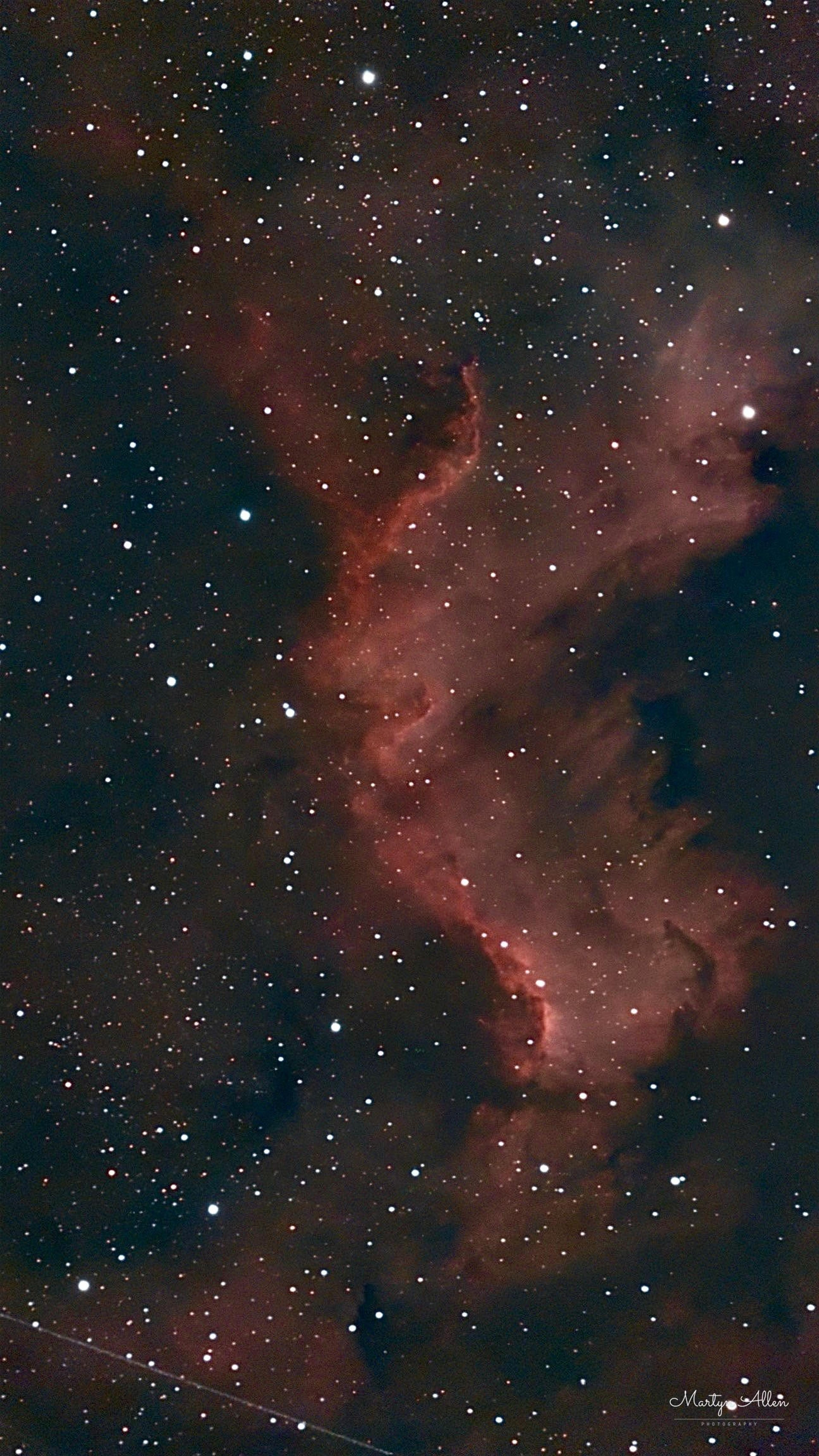The North America Nebula, glowing hydrogen gas shaped like the continent it's named after