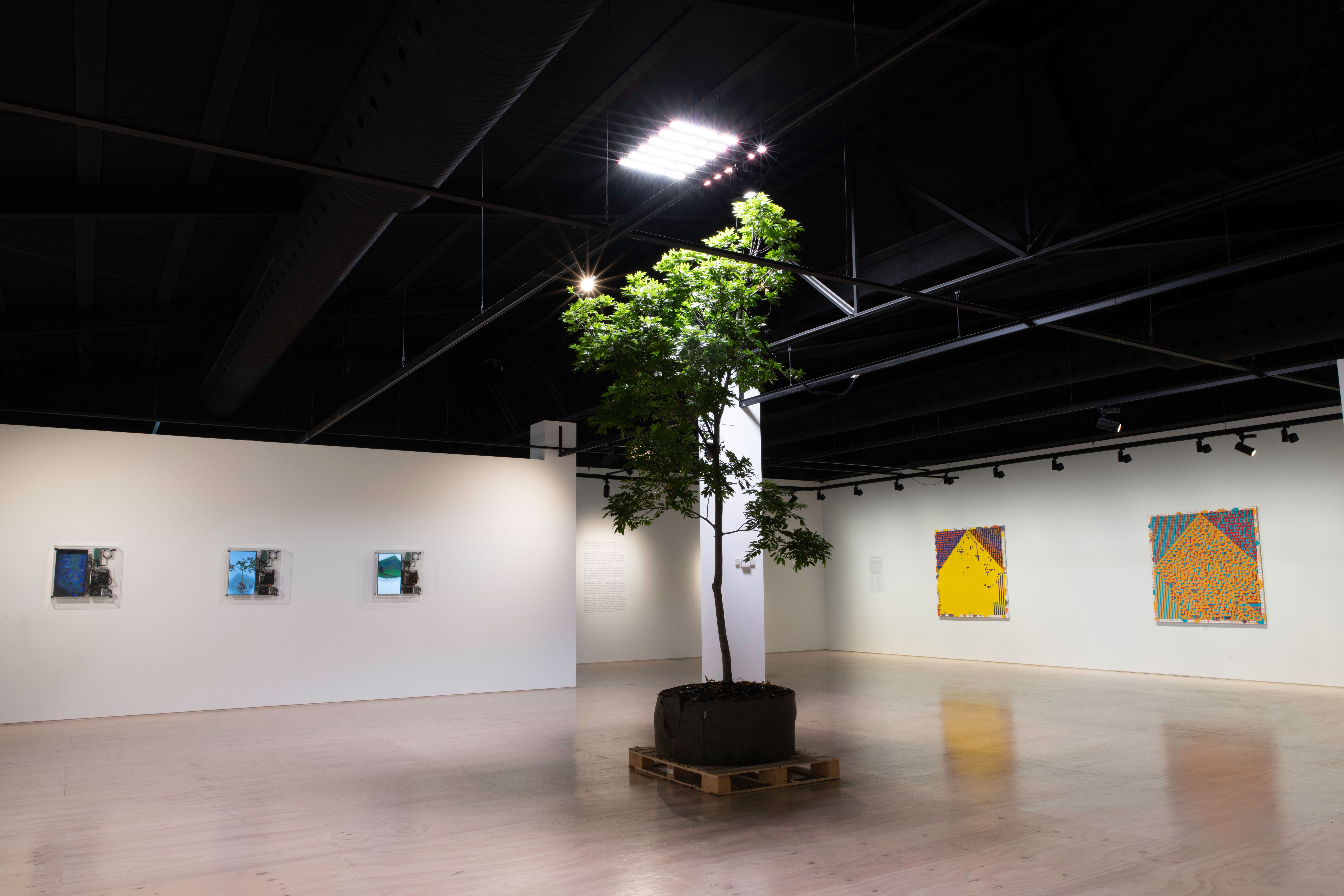 Machine in the Garden