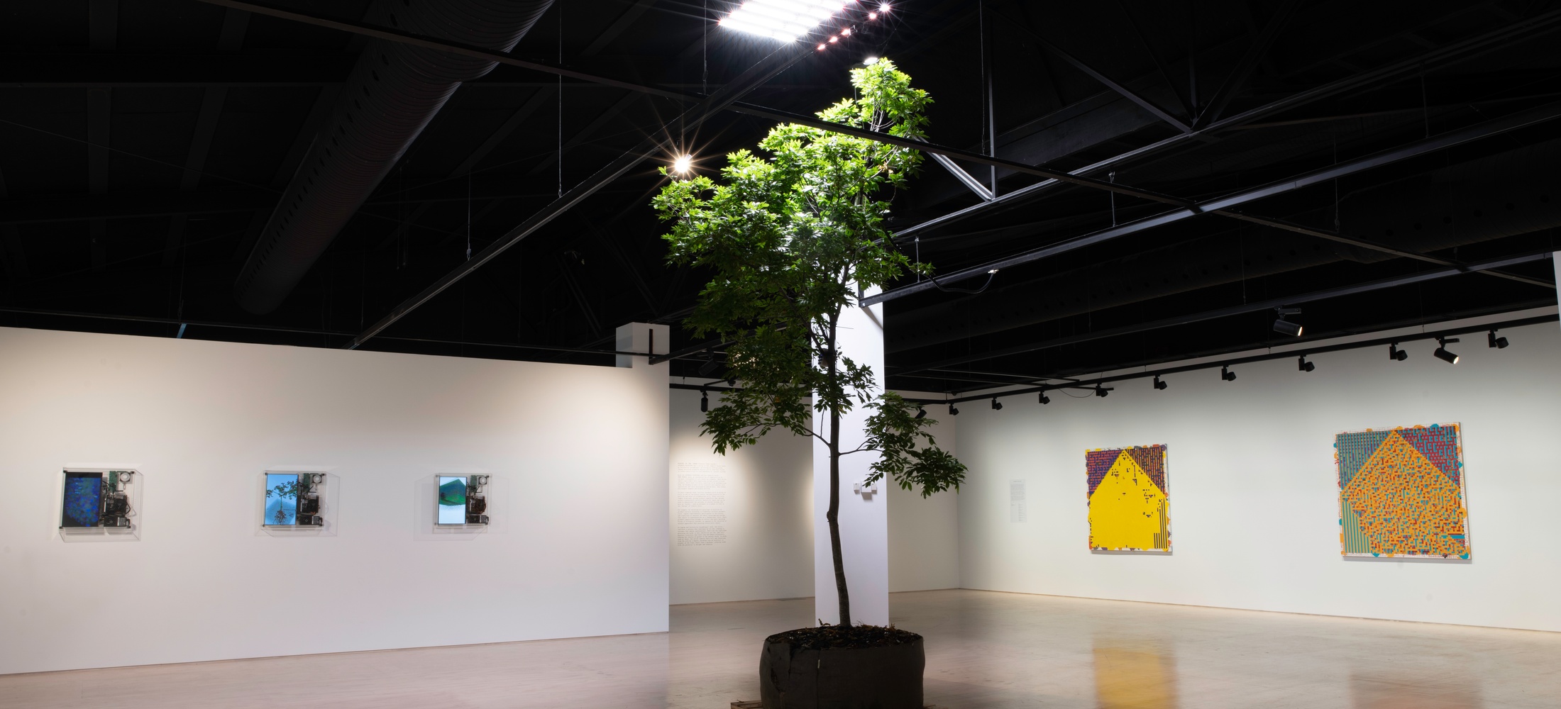 Machine in the Garden