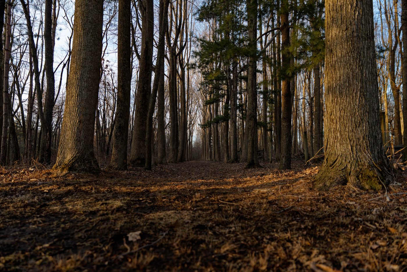 Luhr County Park