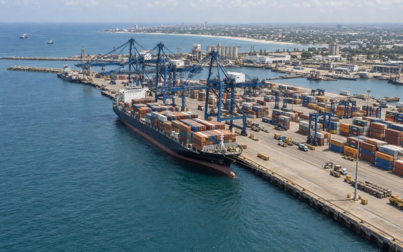 Container vessels and port cranes along a coastal trading port
