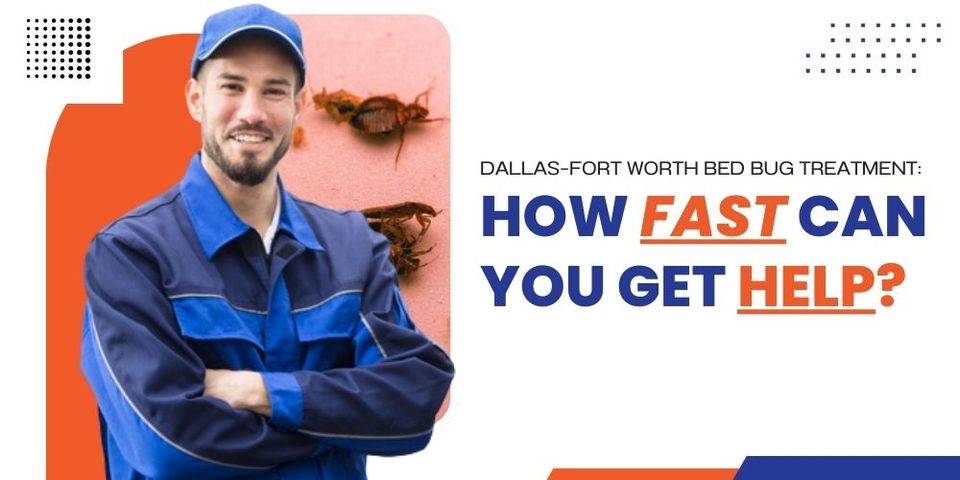 Dallas–Fort Worth Bed Bug Treatment: How Fast Can You Get Help