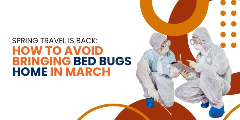 Spring Travel: How to Avoid Bringing Bed Bugs Home in March