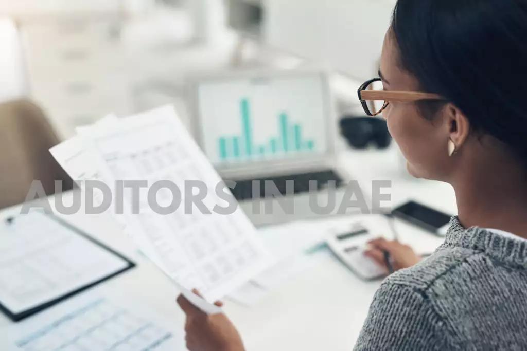 Auditors in UAE