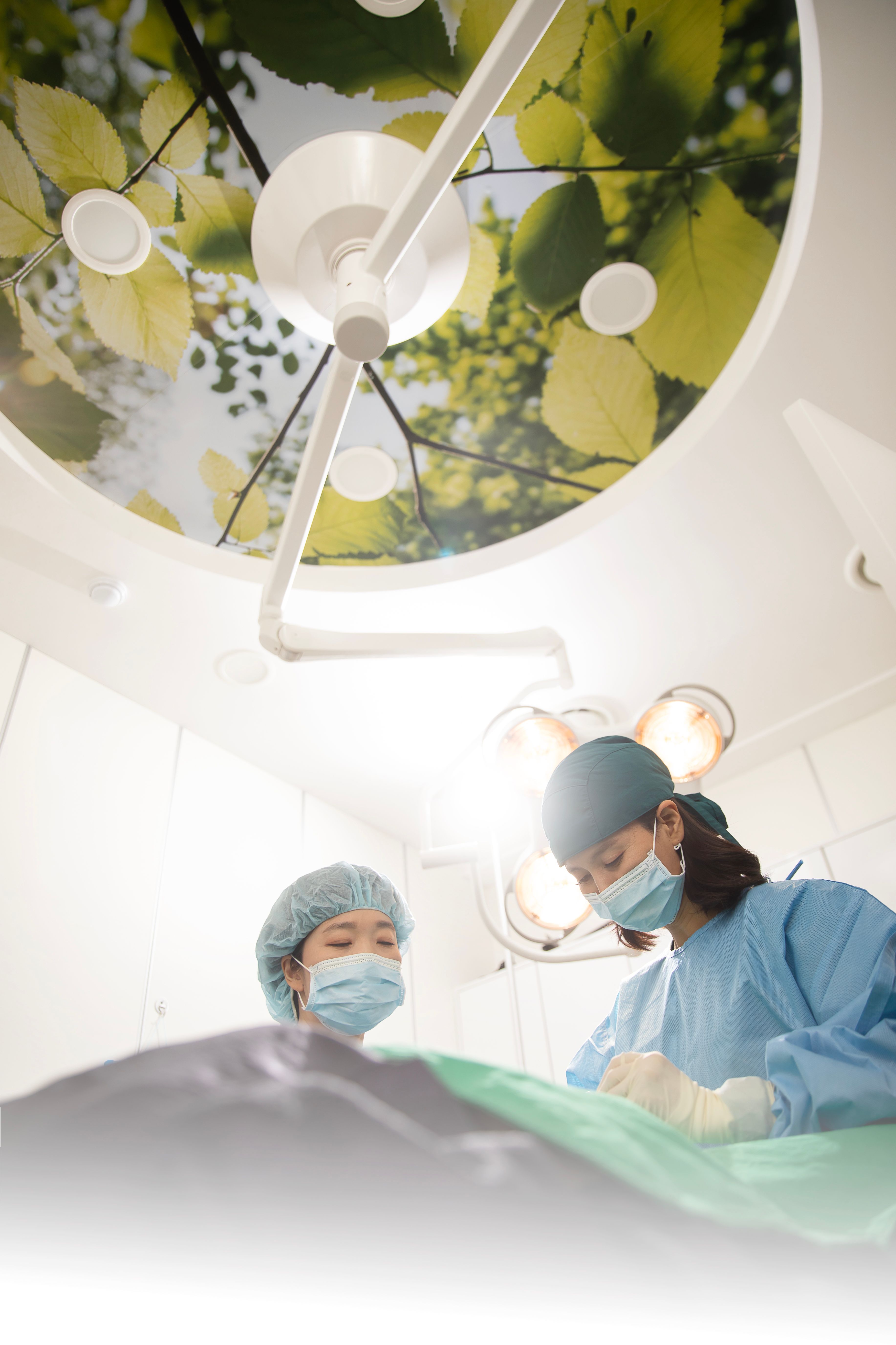 소음순수술잘하는곳 : 전문의가 말하는 수술방법, 회복기간 및 안정성