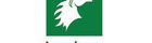 Indus Towers Limited