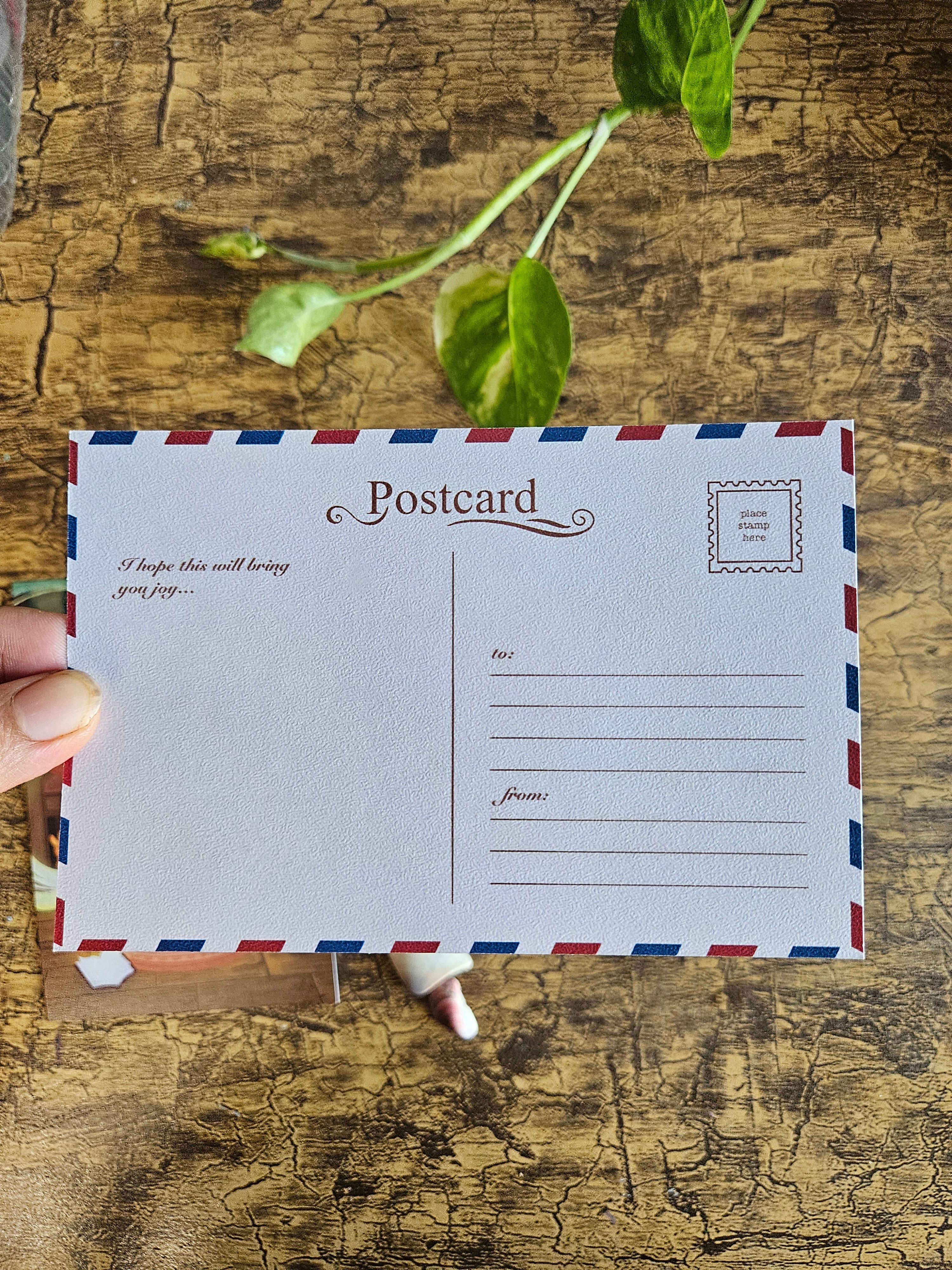 Magical Book Postcard - View 4