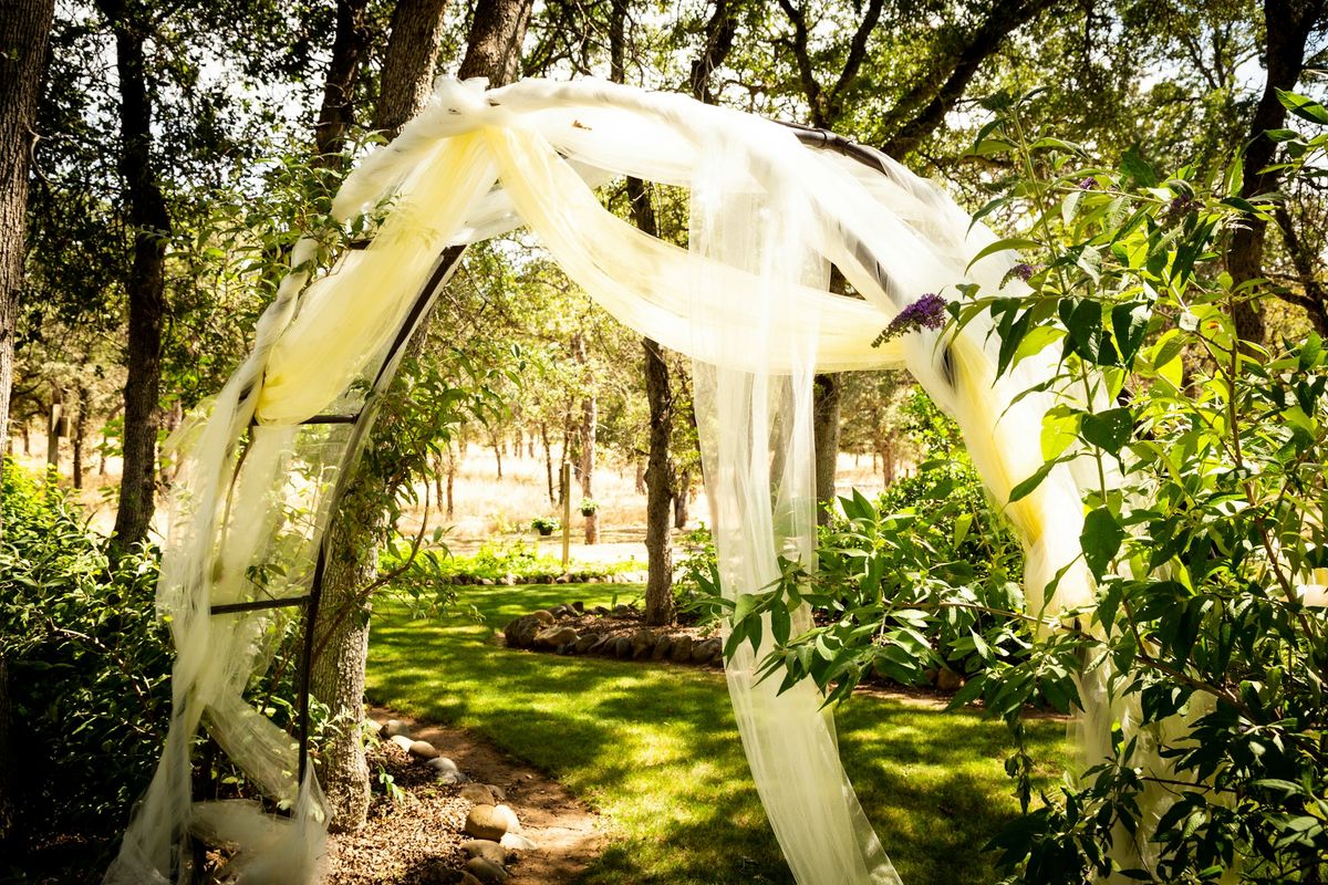 A wedding arch in a garden