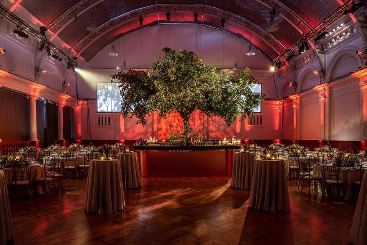 RHS Lindley Hall reception set with round tables and a large tree centrepiece under red lighting