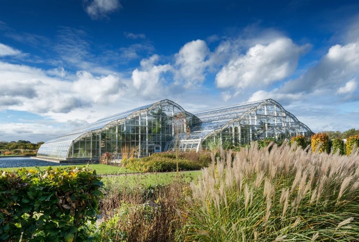 The RHS Wisley Glasshouse surrounded by gardens under a blue sky