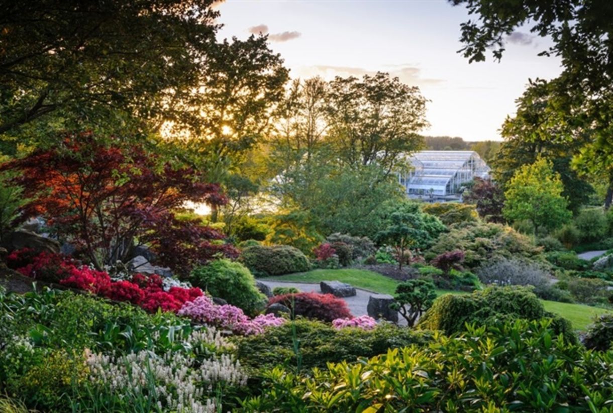 The rock garden at RHS Wisley, with the glasshouse in the distance