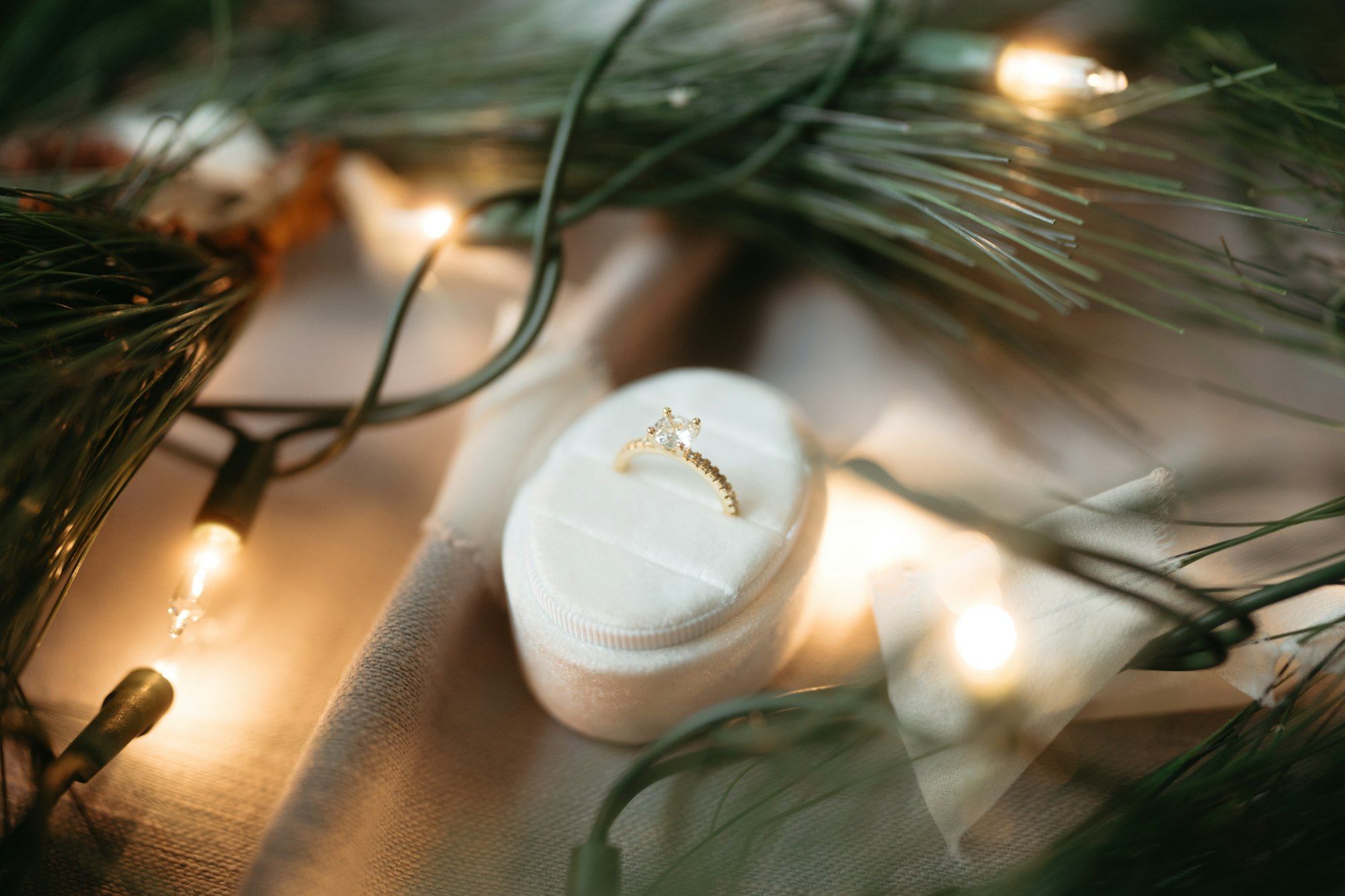 Engagement ring in a velvet box surrounded by fairy lights and pine branches