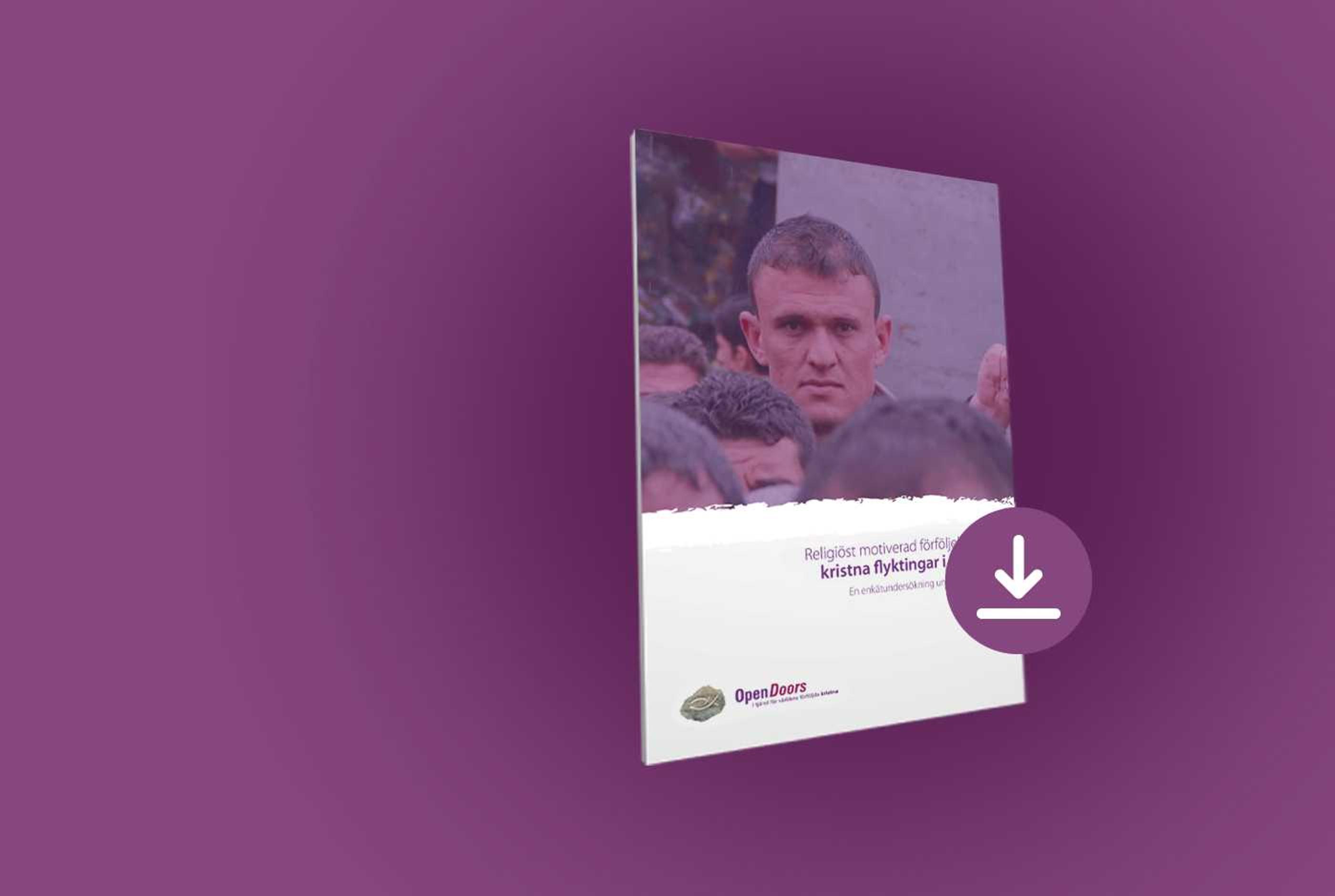 Flyktingrapport 2017