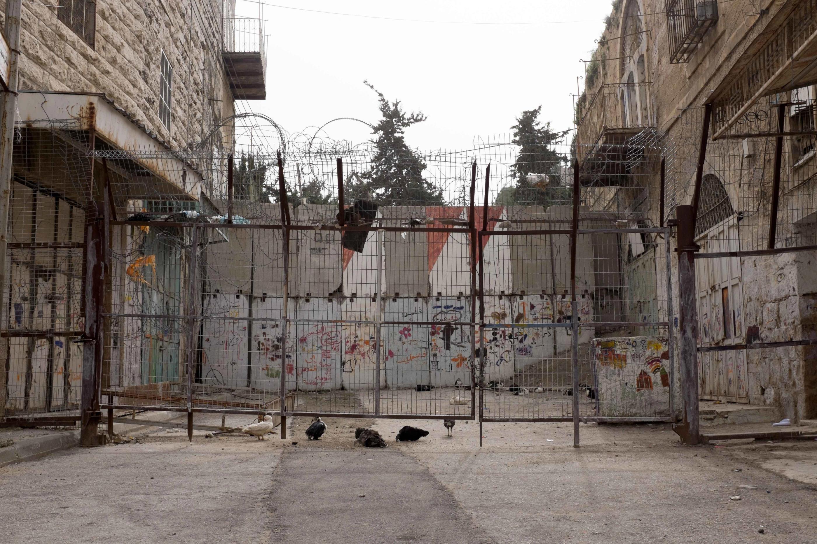 Helping Palestinian Christians find hope and healing