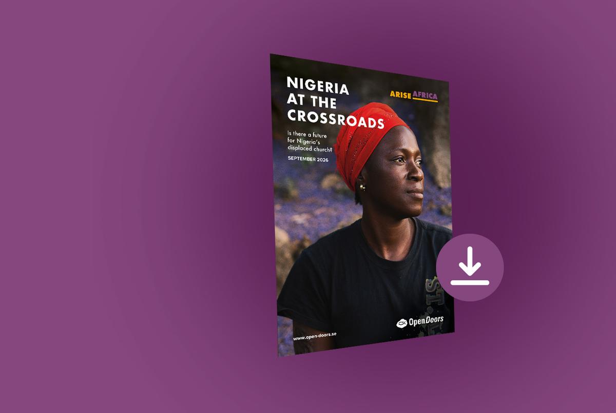 Informe «Nigeria en la encrucijada»