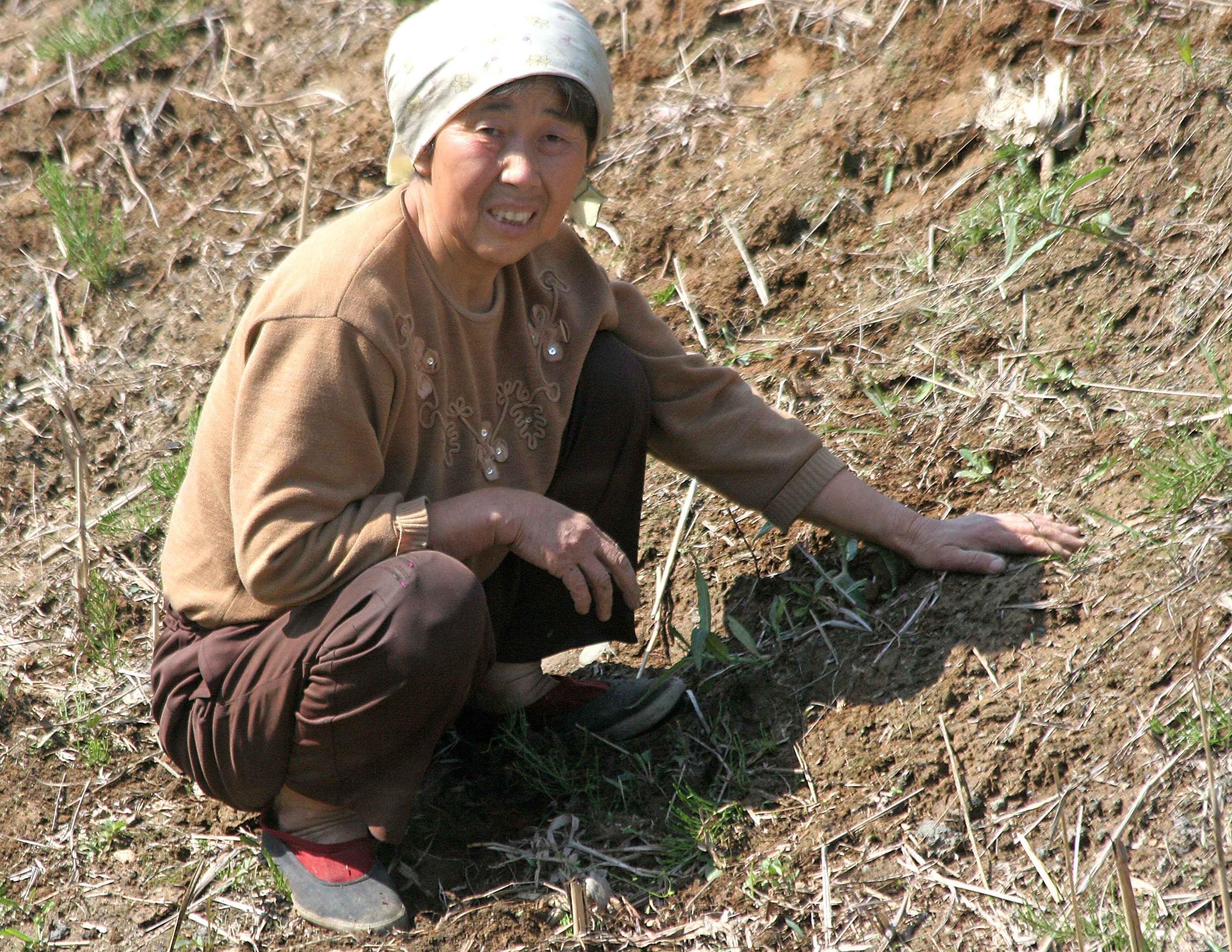 Please pray North Korean Christians face desperate conditions