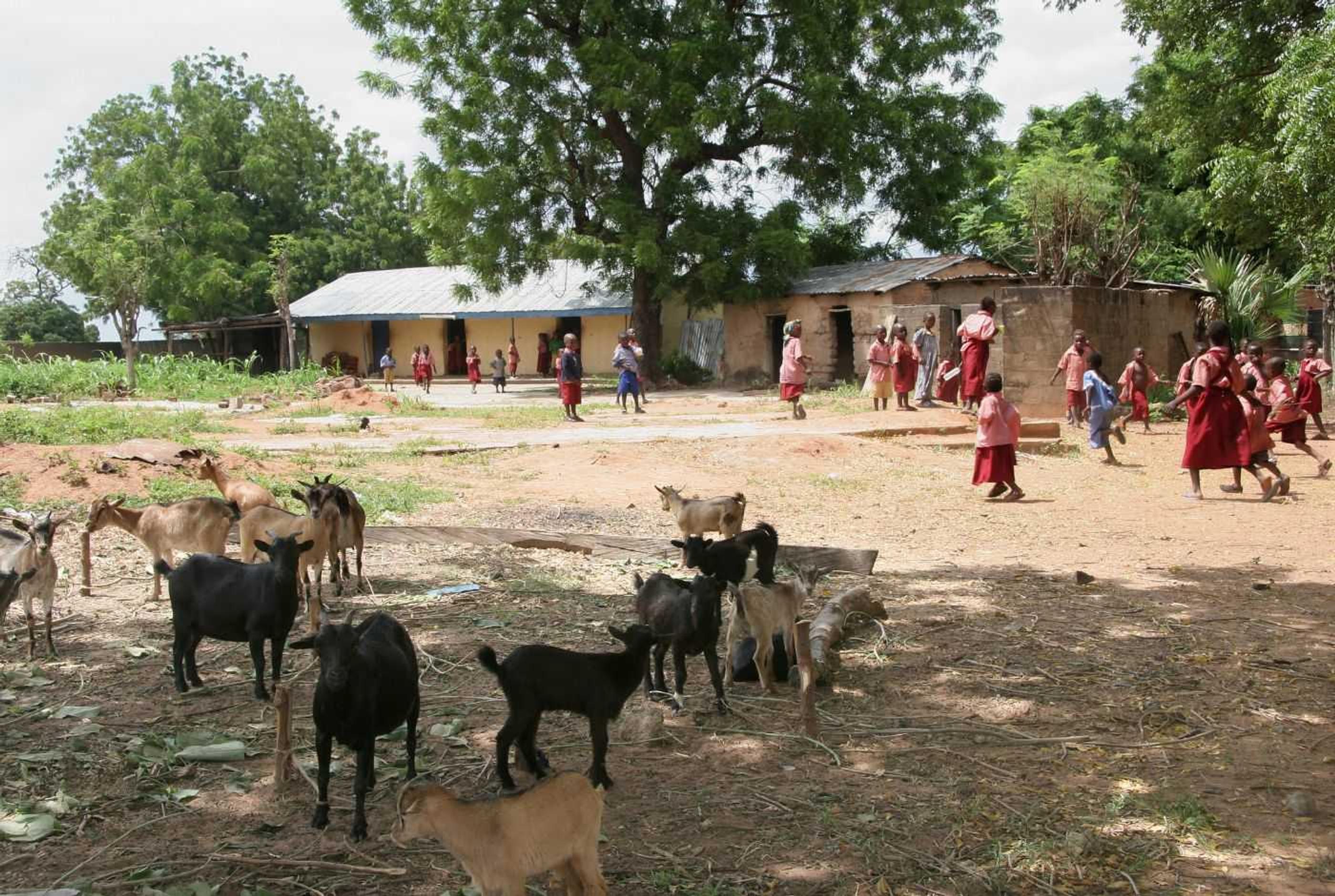 Nigeria: Schulen zum ersten Mal während des Ramadan geschlossen