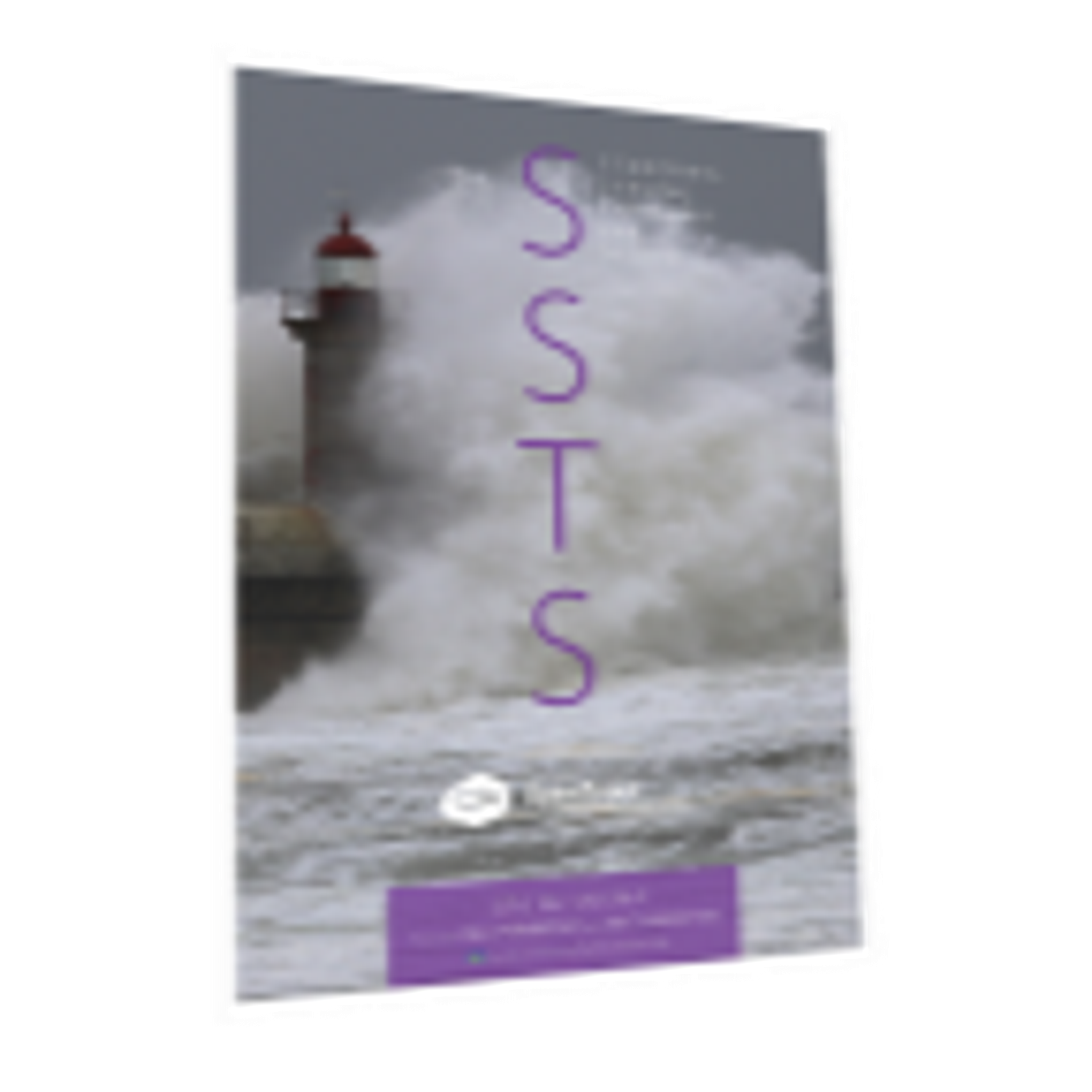 Standing Strong Through the Storm (utdrag på svenska) - Bild 1