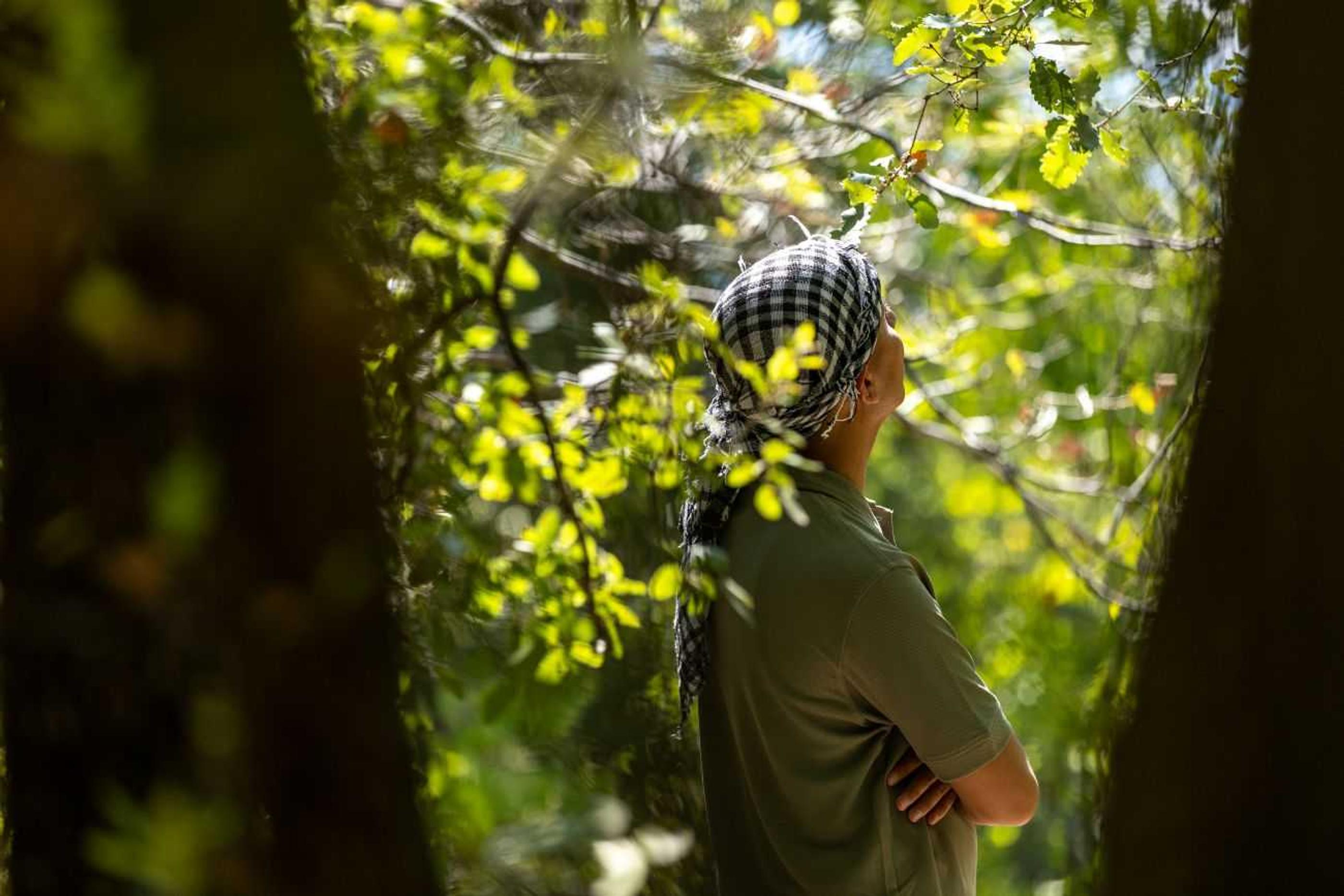 Zaid standing in a forest in a bright light