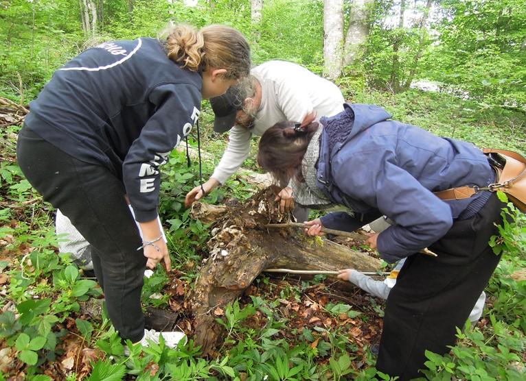 Des participants ร la Chasse au Trรฉsor.
