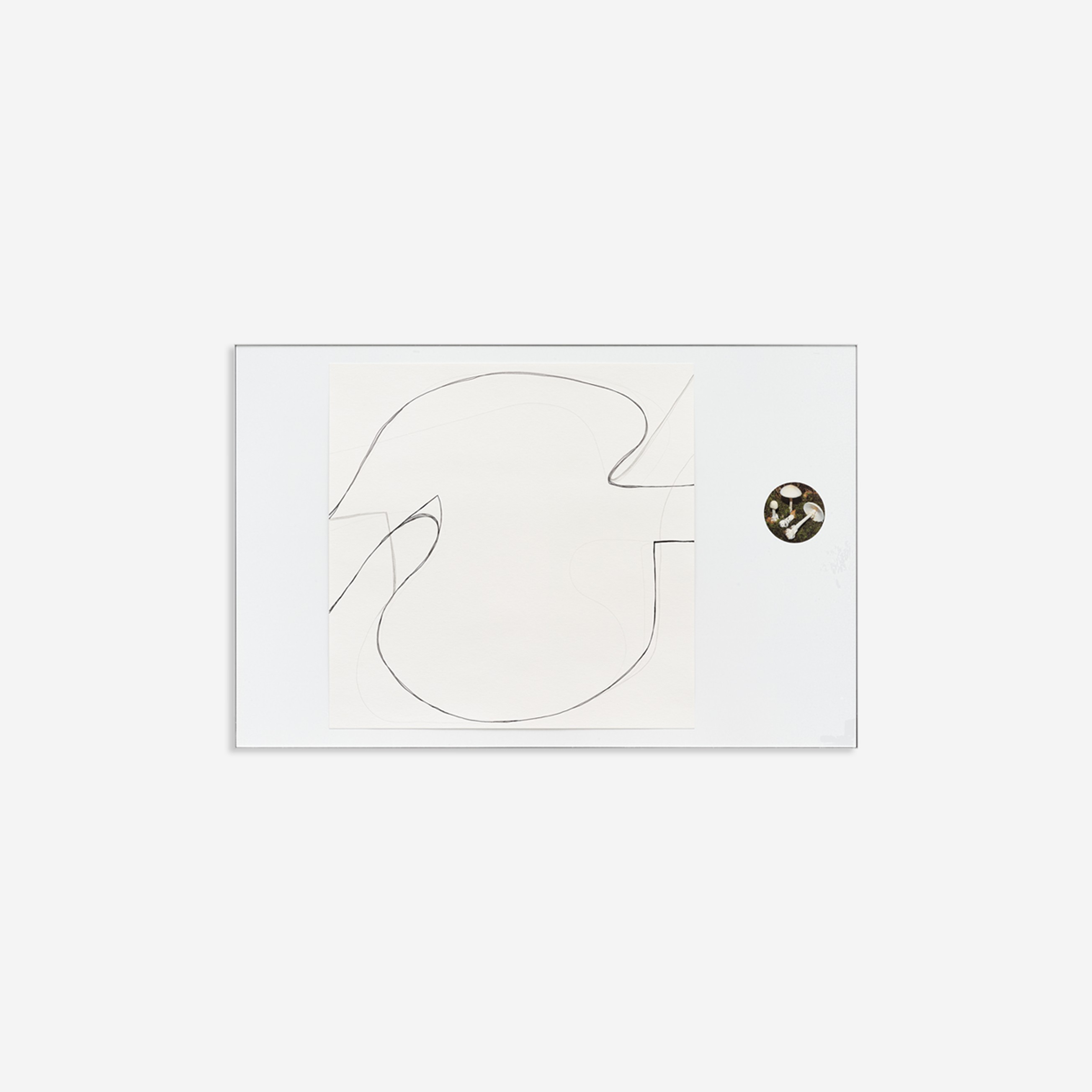 field studies (networks) No. 10