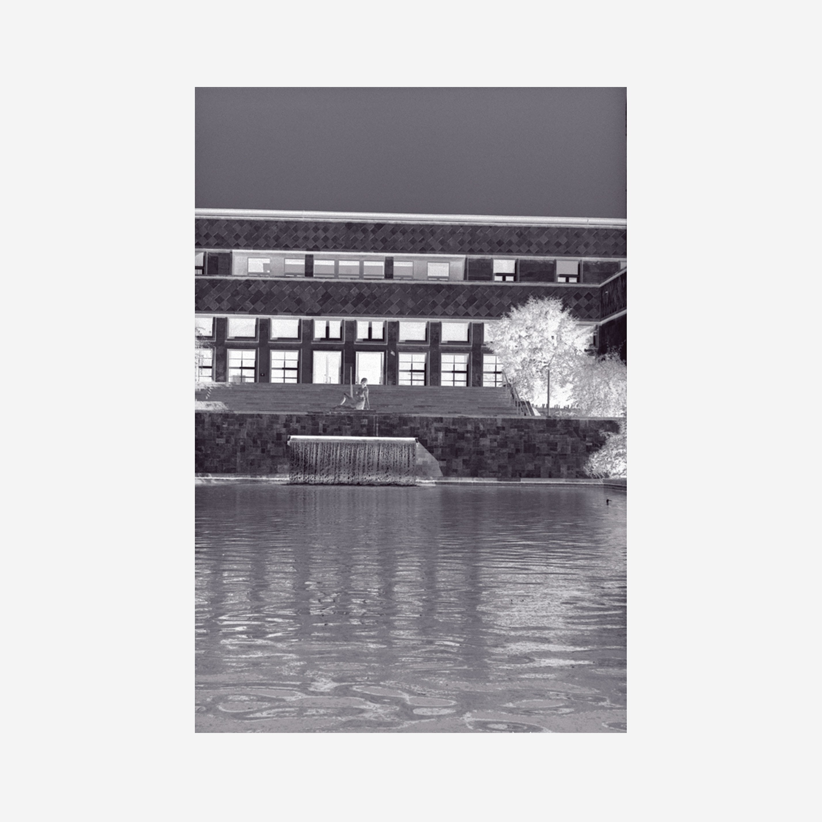 IG-Farben-Haus Frankfurt V
