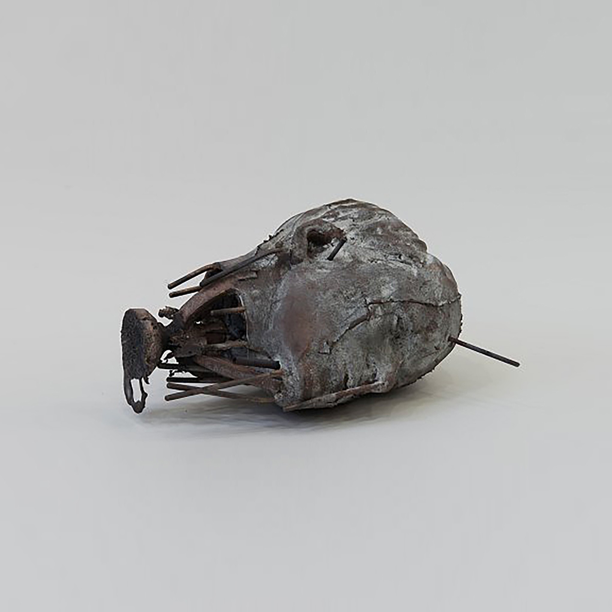 Untitled (Head)