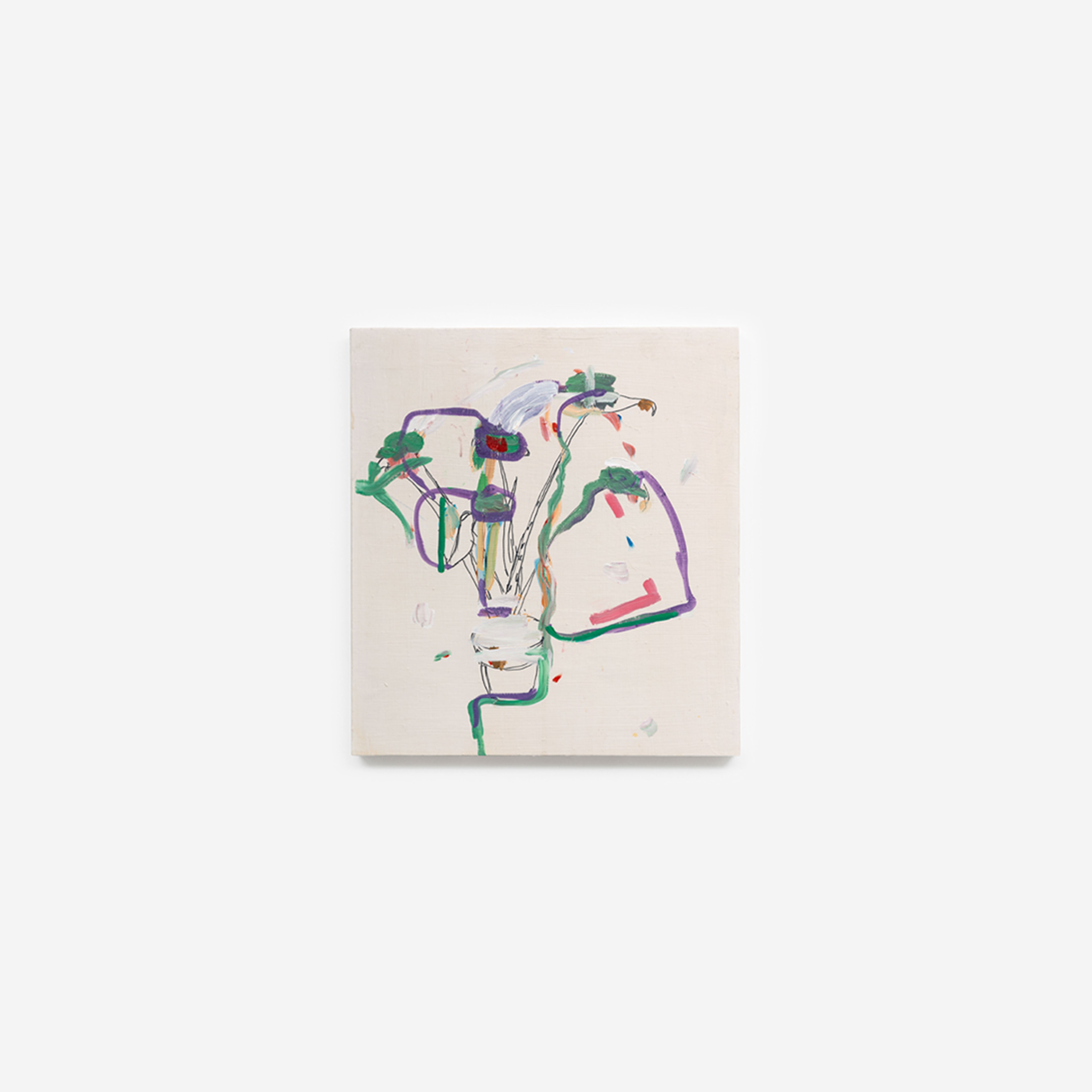 Visit / Plant