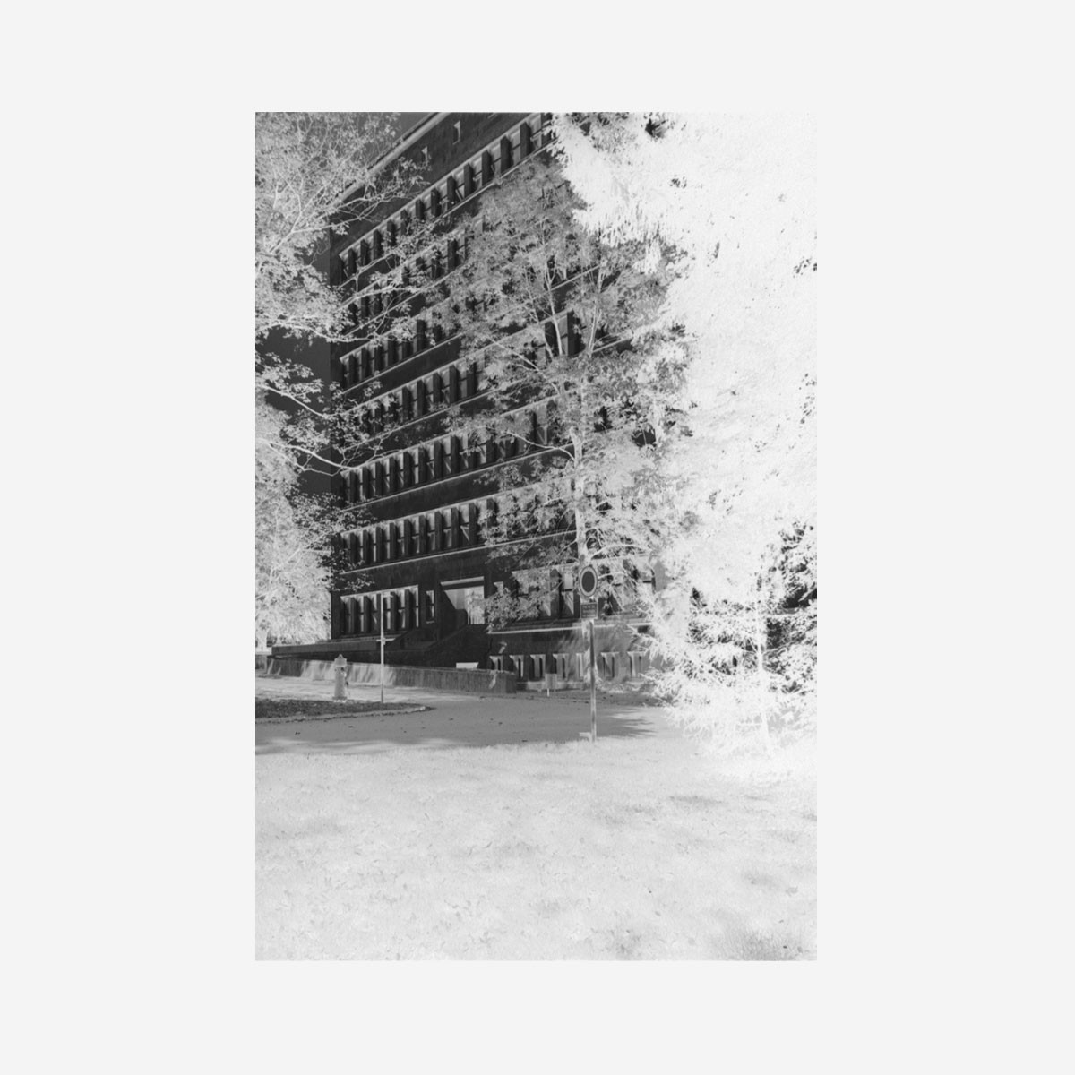 IG-Farben-Haus Frankfurt X