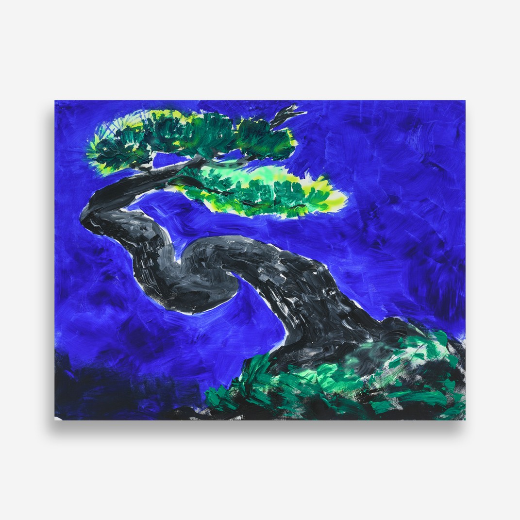 Yamadori Dream (HB21GAB)