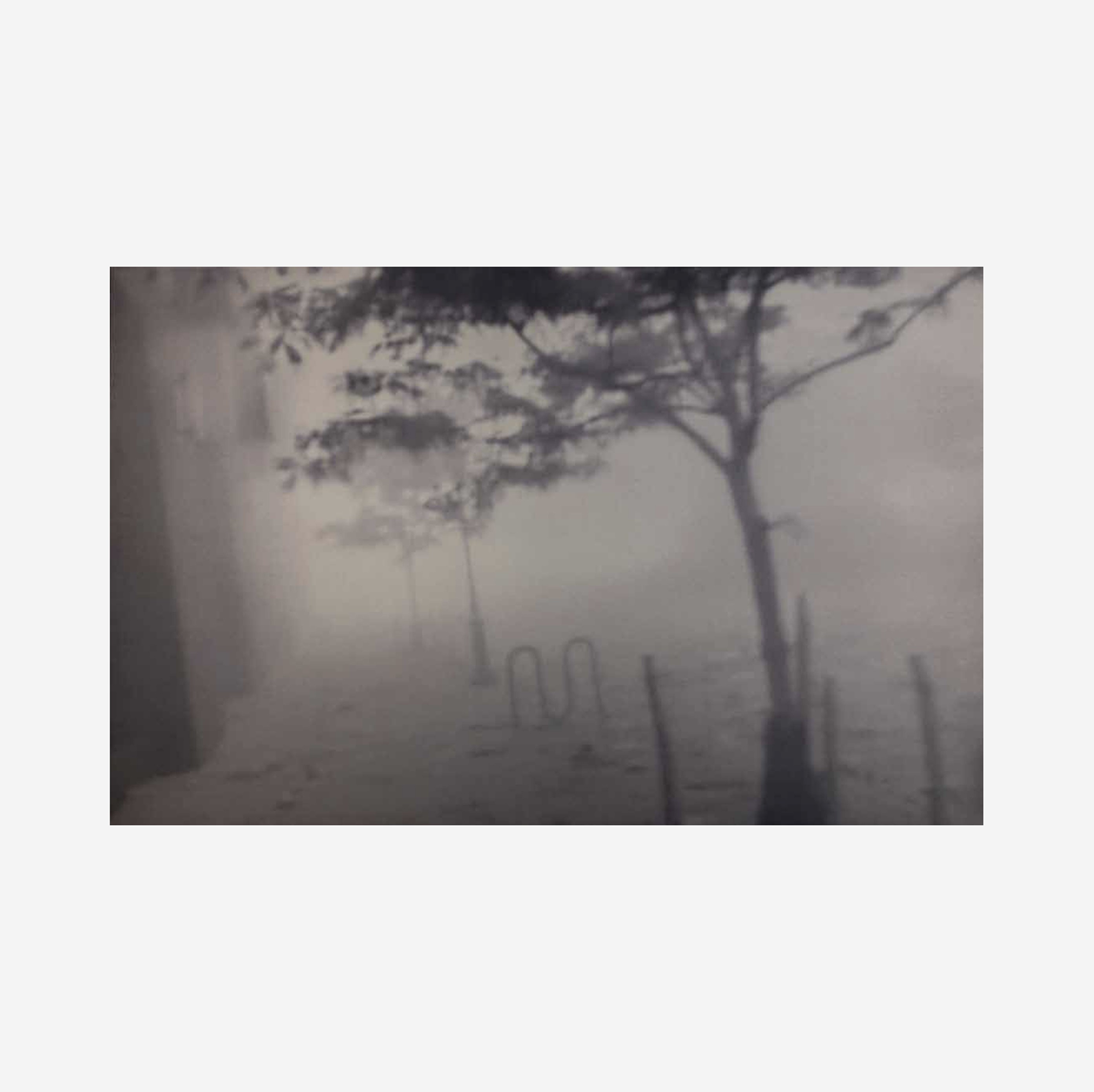 NY Dust