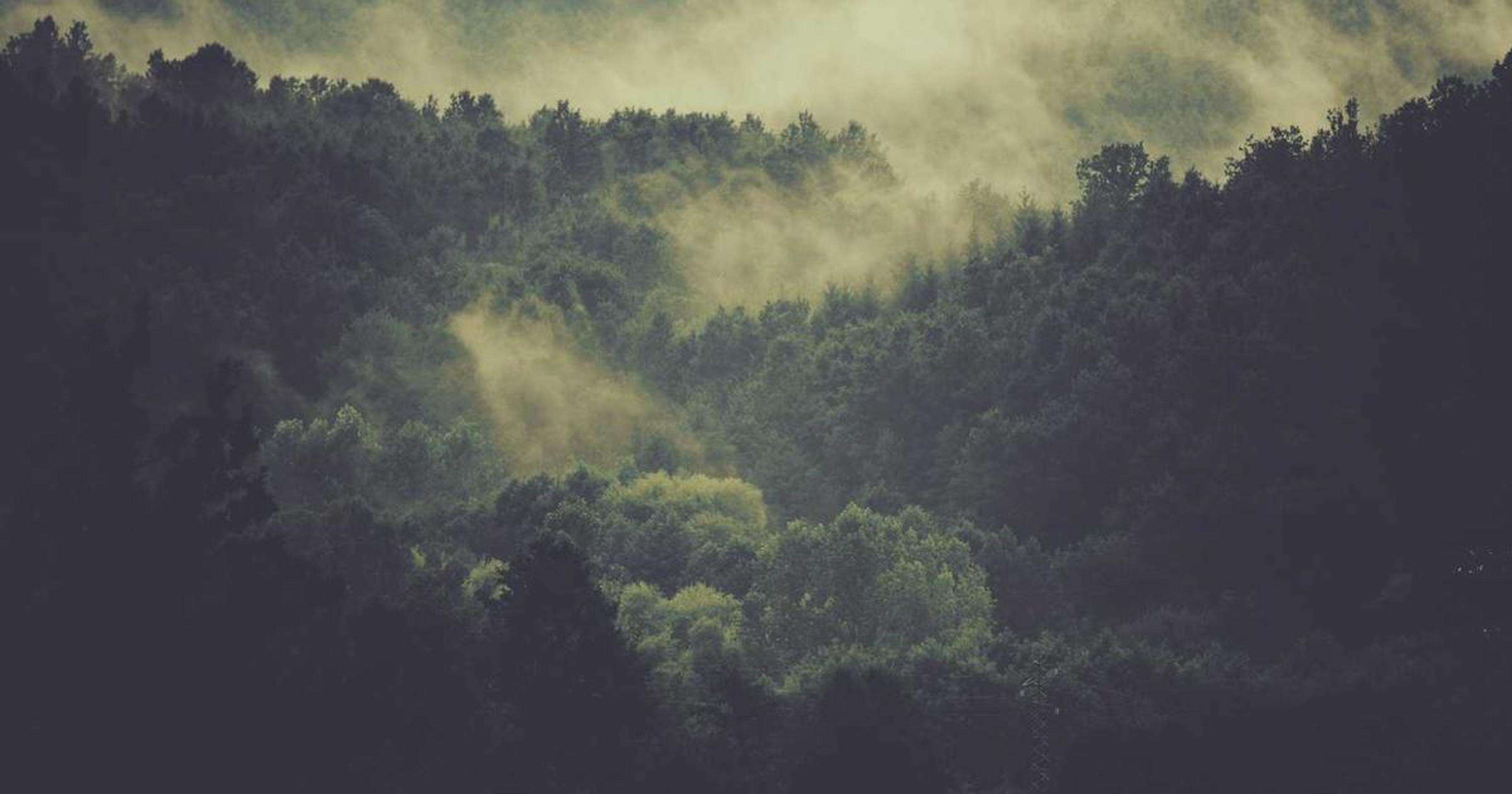 React table libraries comparison