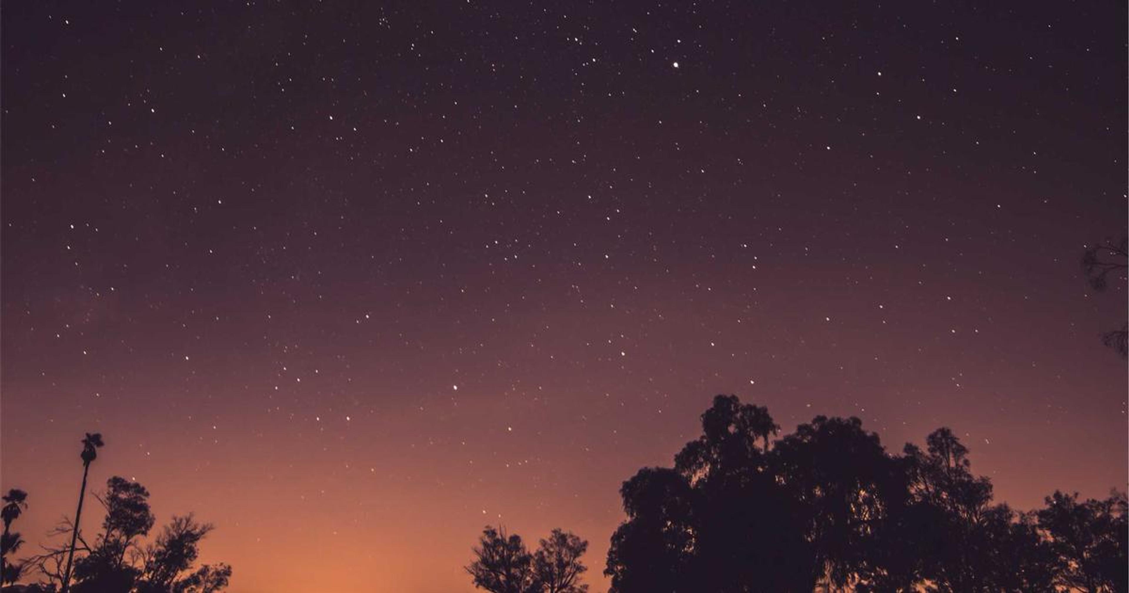 Biome vs Prettier+ESLint: Next.js 15 Setup Guide