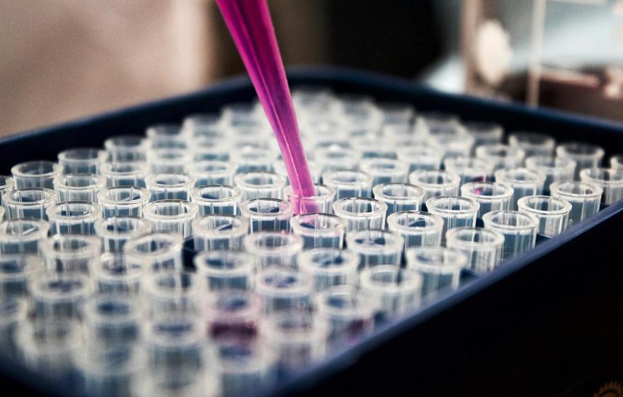 Cell culture insert product photo