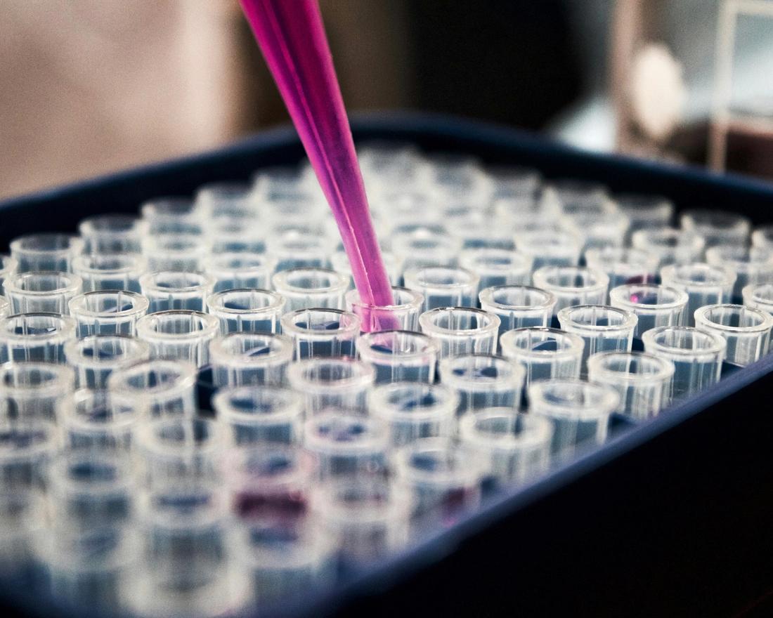 Cell culture insert in laboratory use
