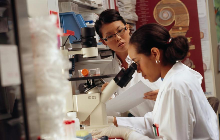 Ready-to-use human tissue product photo