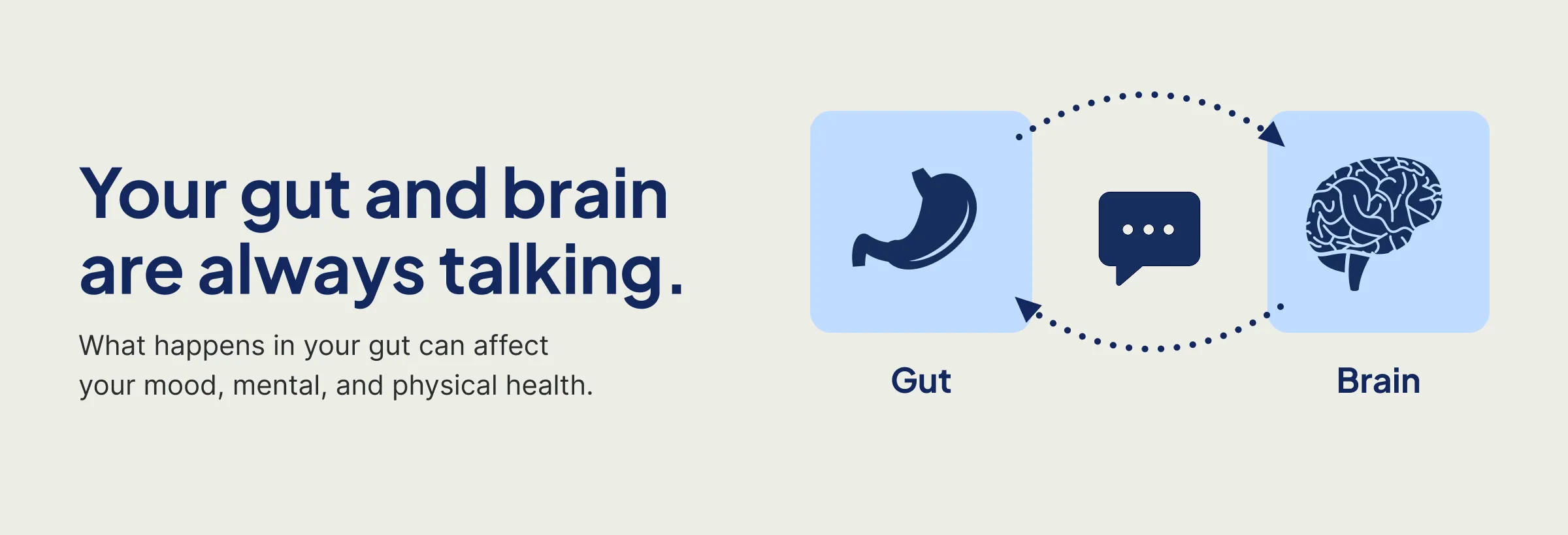 Graphic showing the gut-brain connection: your gut and brain are always talking.