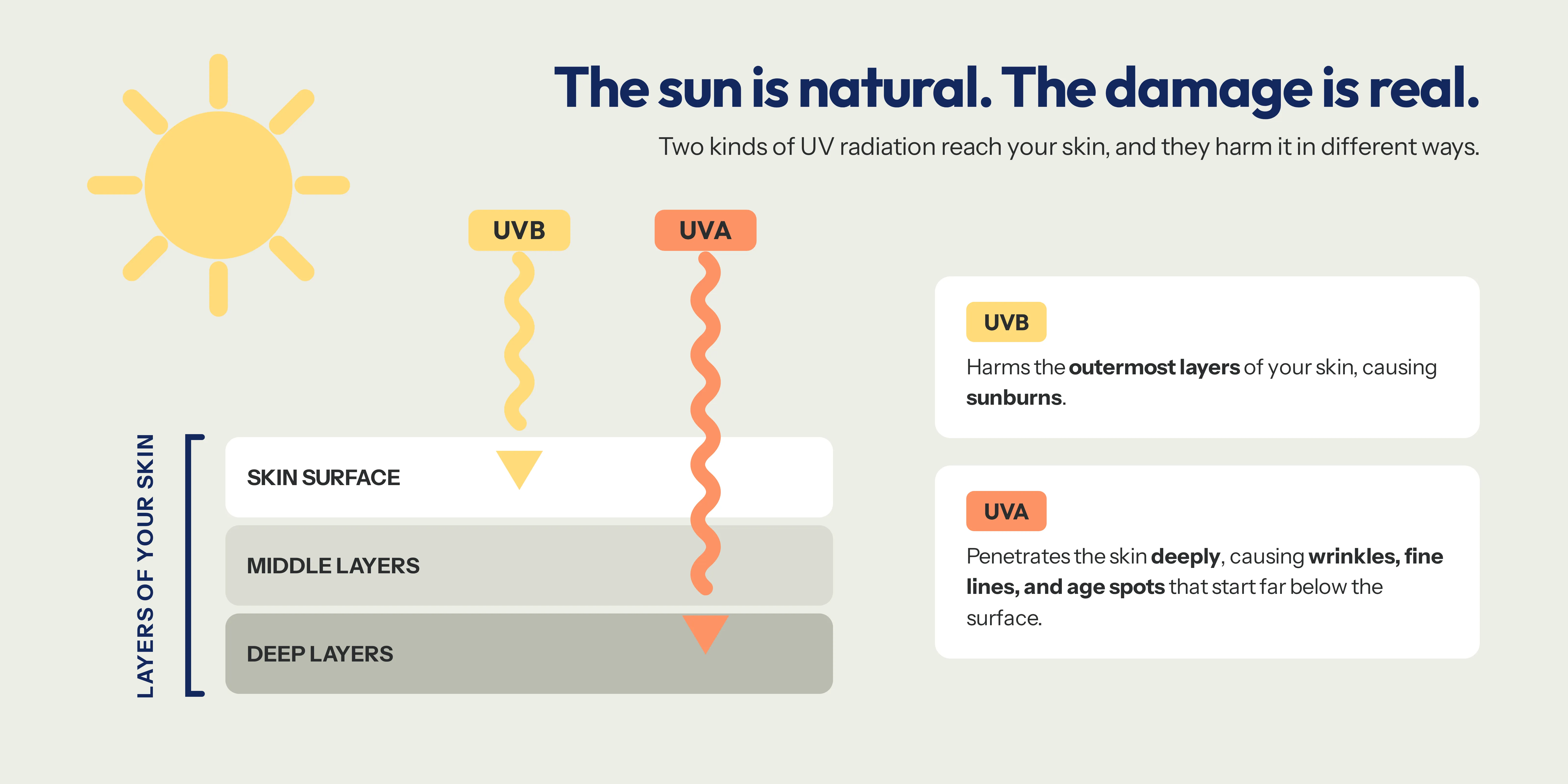 Diagram showing how UVA and UVB penetrates the skin.