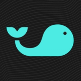 Splash Sports logo