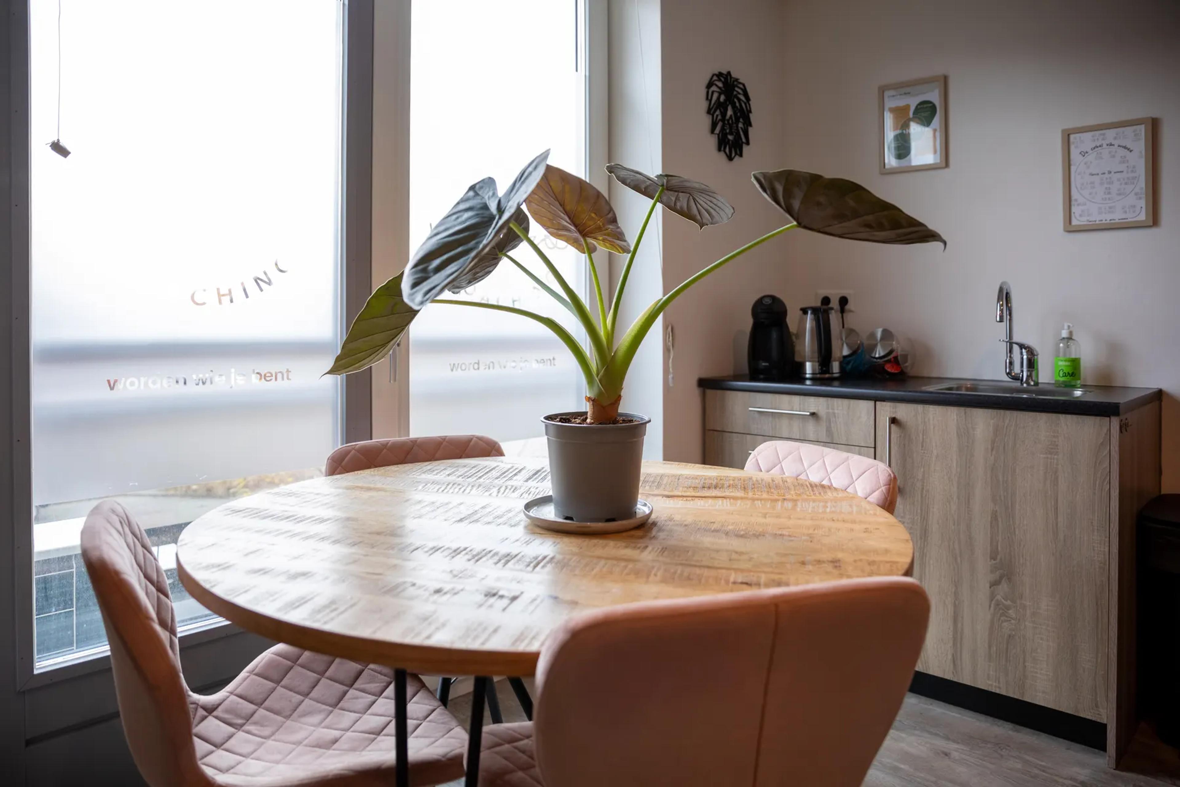 De tafel in de praktijk aan de Zuideindsestraat in Made