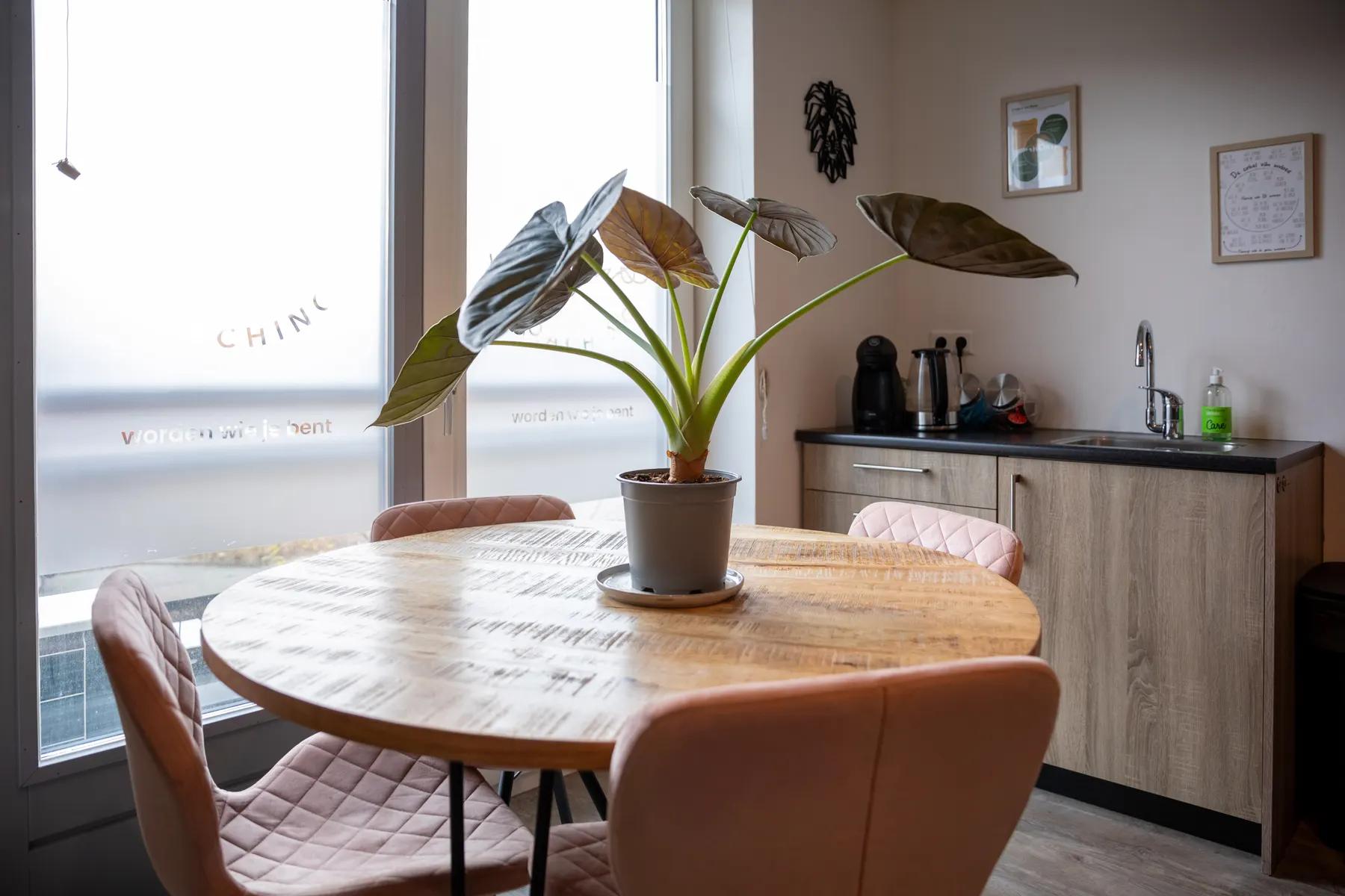 De tafel in de praktijk aan de Zuideindsestraat in Made