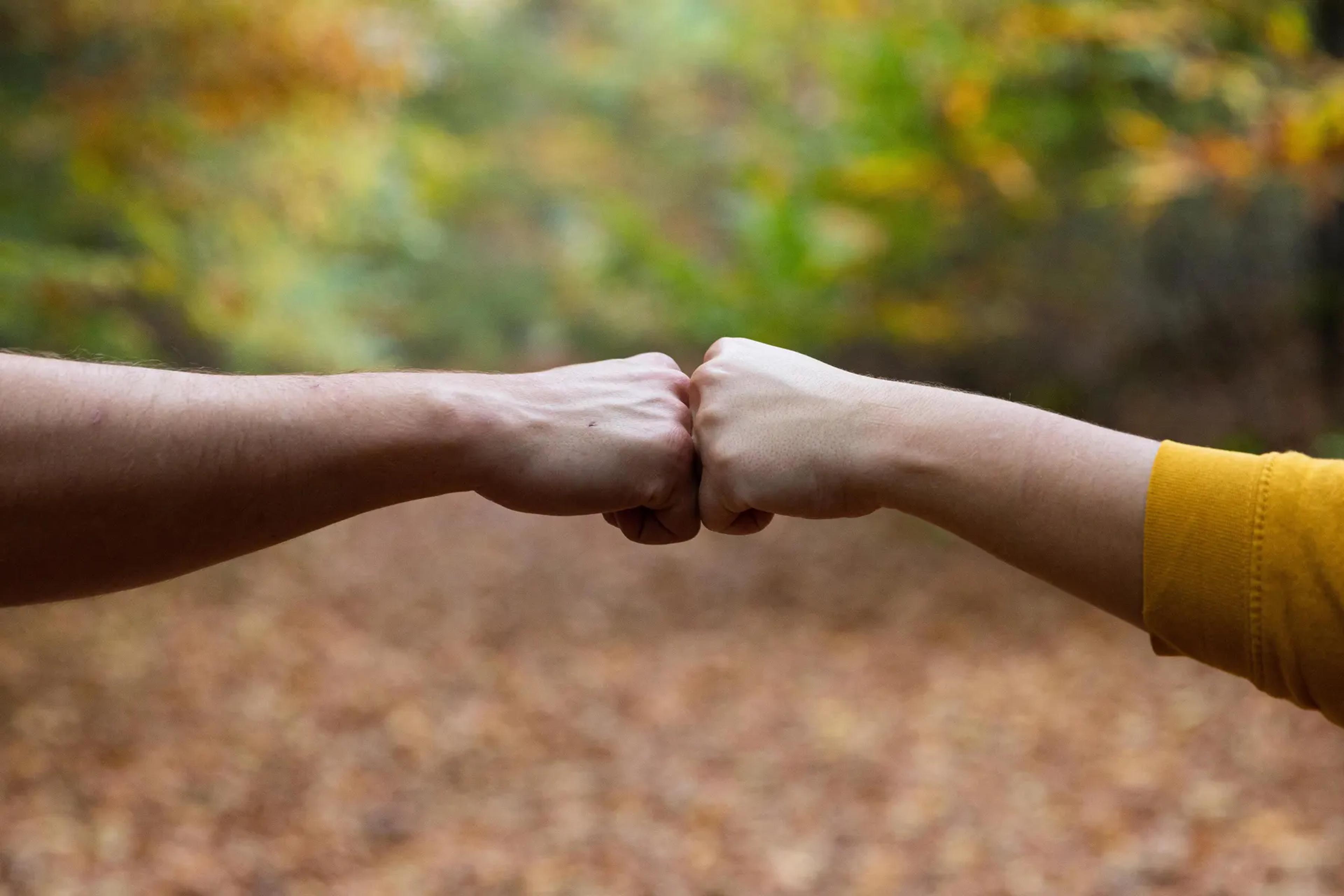 Twee vuisten tegen elkaar in het herfstbos
