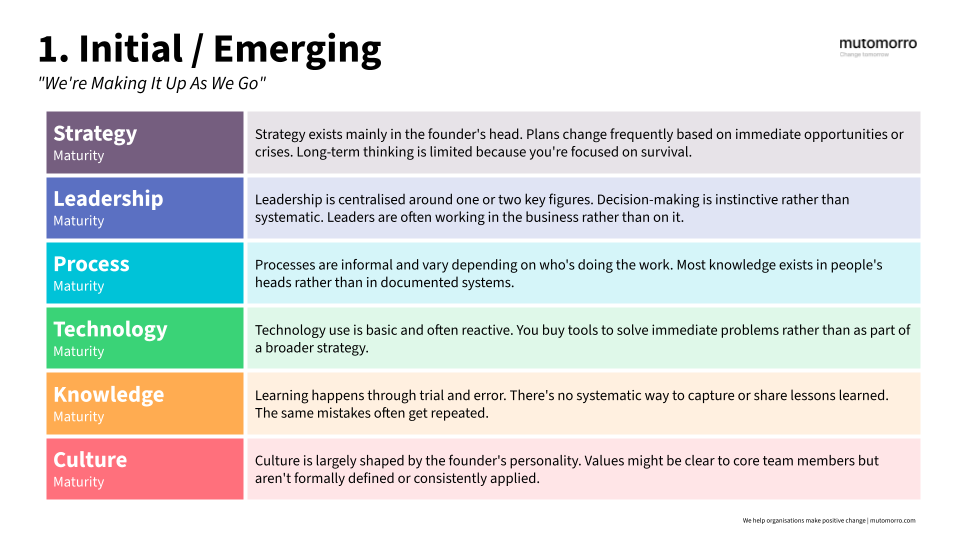 Organisational Maturity Model - 1. Initial:Emerging Stage