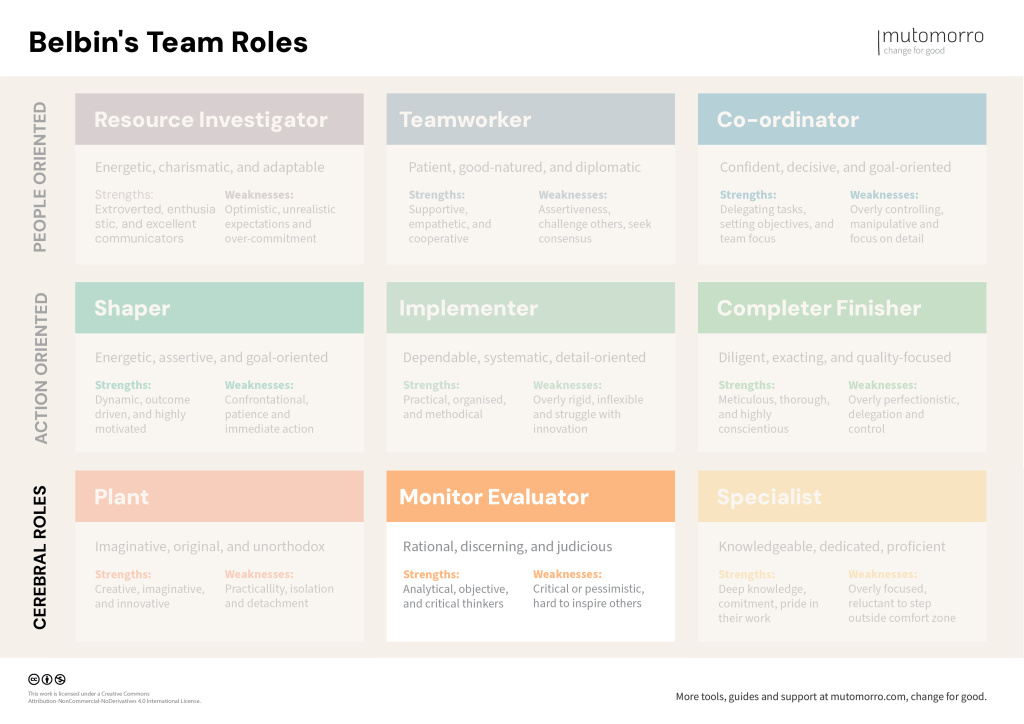 Belbin's Team Roles - Monitor Evaluator
