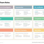 Belbin's Team Roles|Belbin's Team Roles - Co-ordinator|Belbin's Team Roles - Completer Finisher|Belbin's Team Roles - Implementer|Belbin's Team Roles - Monitor Evaluator|Belbin's Team Roles - Plant|Belbin's Team Roles - Resource Investigator|Belbin's Team Roles - Shaper|Belbin's Team Roles - Specialist|Belbin's Team Roles - Teamworker, a people-oriented role