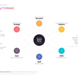 McKinsey 7-S Model