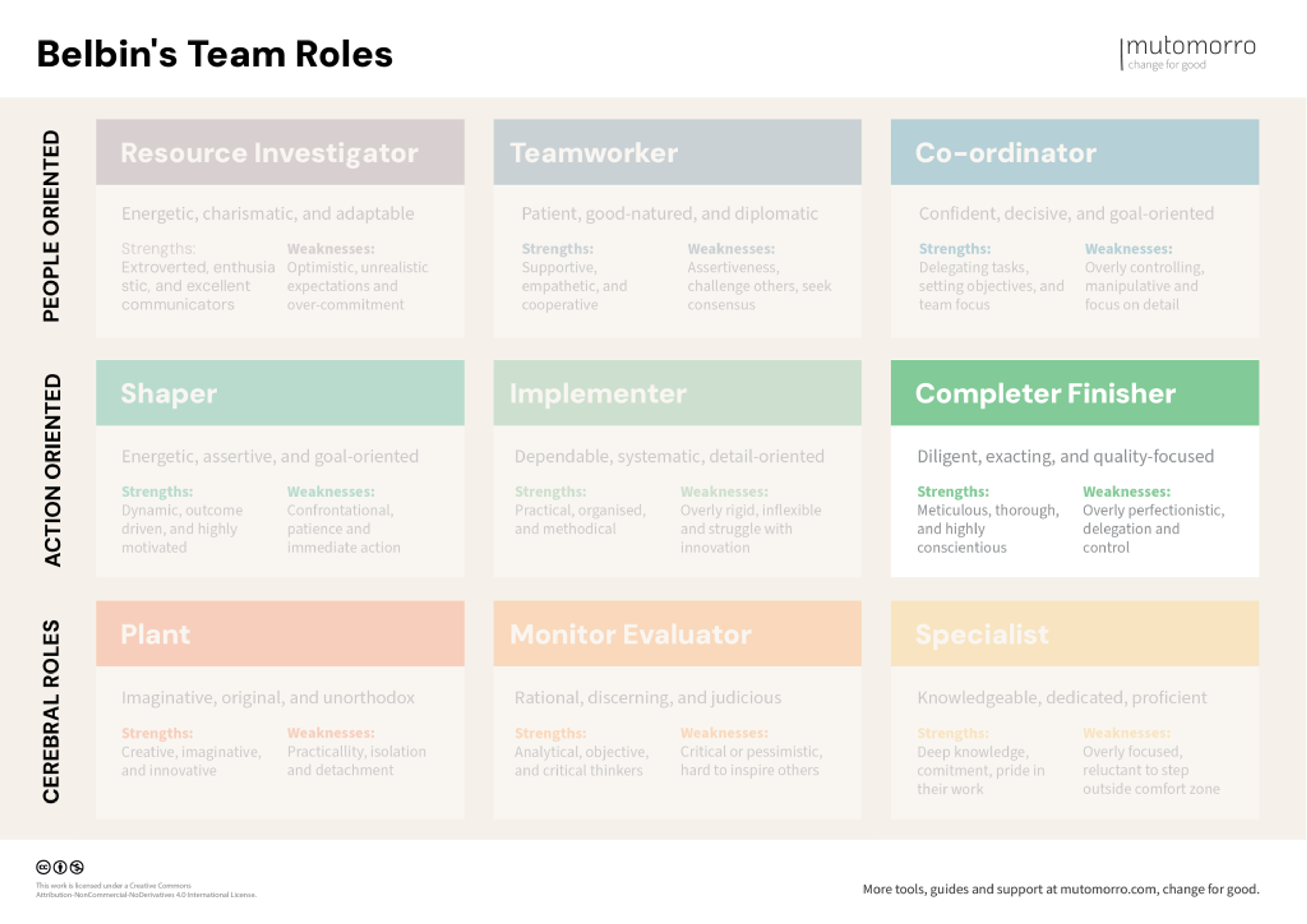 Belbin's Team Roles - Completer Finisher