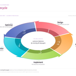 BPM Lifecycle - the five-stage orbit