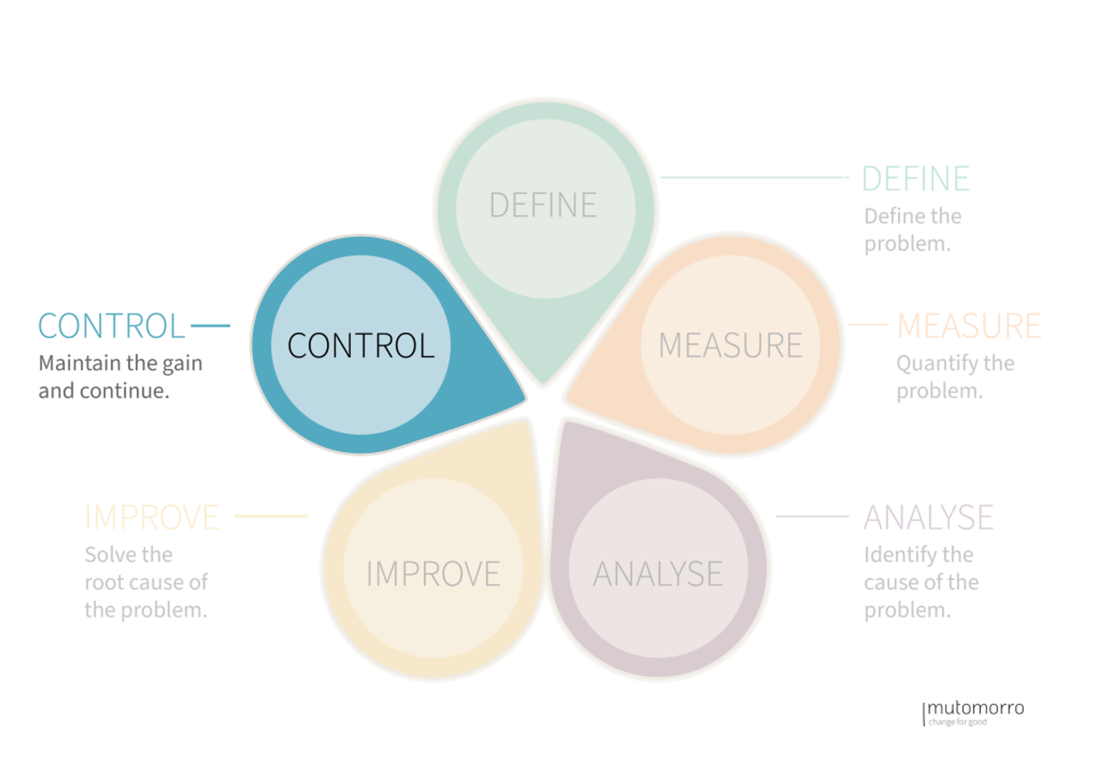 DMAIC Process - Phase 5: Control