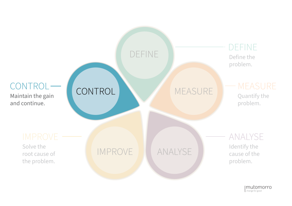 DMAIC Process - Phase 5: Control